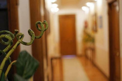 Lola Piccolo Hotel