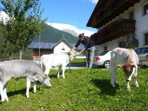 Bed & Breakfast Grossarzbachhof