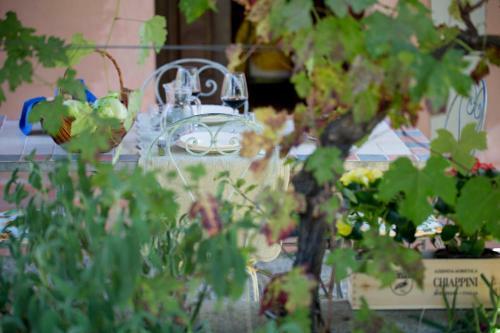 Agroturismo Agriturismo Tra Gli Ulivi