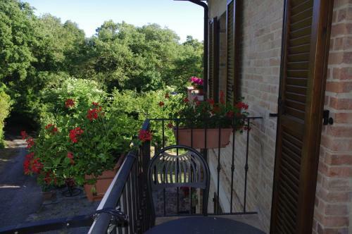 Agroturismo B&B Campogrande