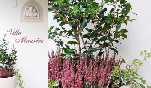 Apartamento Residence Villa Maurice