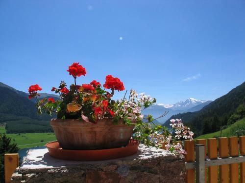 Apartamento Appartement Sunnleitn