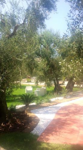 Hostal Apollo