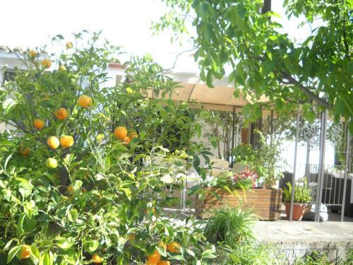Belvedere Sul Mare B&B