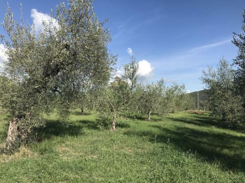 Apartment Borgo Sanvico Torre