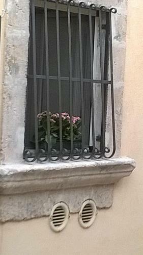 Casa Daisy