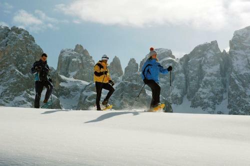 Dolomiti Camping Village & Wellness Resort