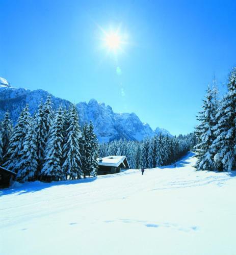 Dolomiti Camping Village & Wellness Resort