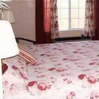 Hotel Scenic Hills Inn