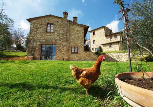 Agroturismo Agriturismo Ardene
