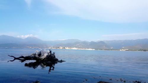 Hotel H�tel Sole E Mare