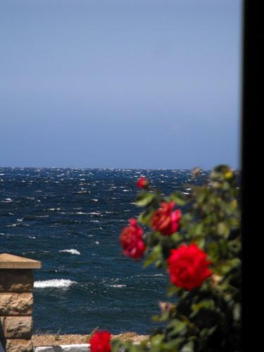 Hotel H�tel Sole E Mare