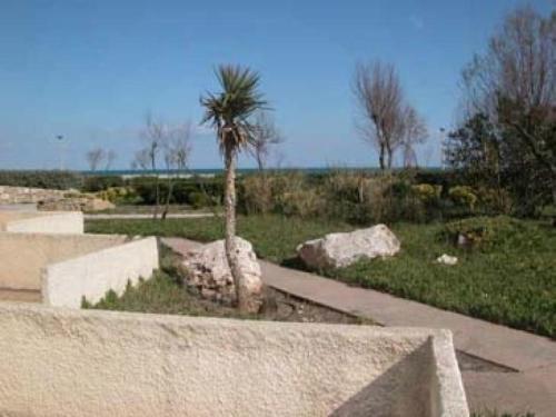 Rental Apartment Les Nefs Des Sables 3