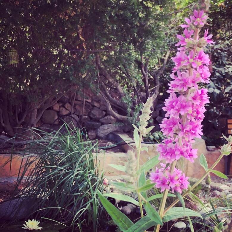 Bed & Breakfast Casa Di Floumy