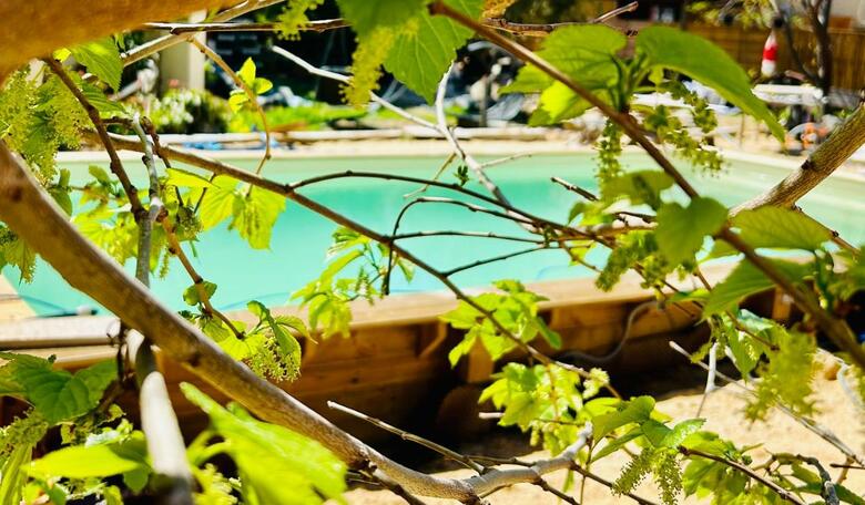 Bed & Breakfast Casa Di Floumy