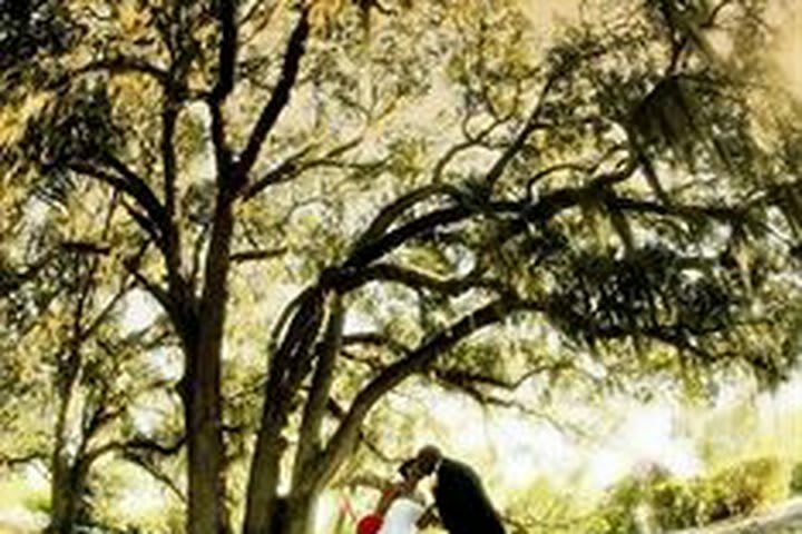 Hotel Hilton University Of Florida Conference Center Gainesville