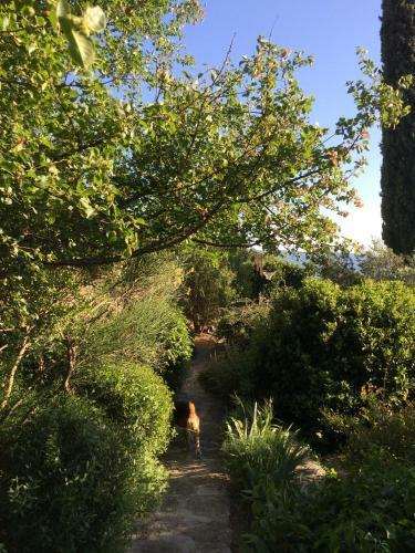 Bed & Breakfast La Borie En Provence