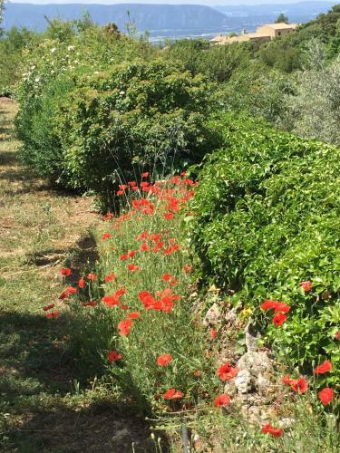 Bed & Breakfast La Borie En Provence