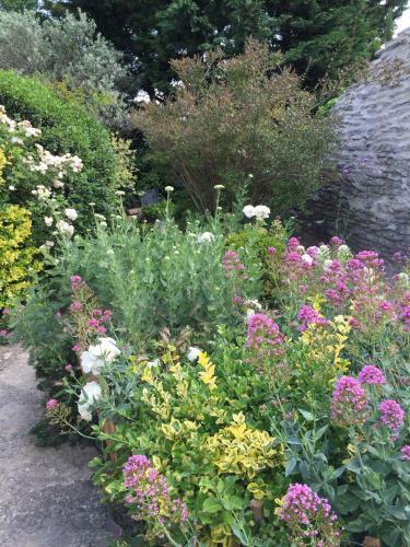 Bed & Breakfast La Borie En Provence