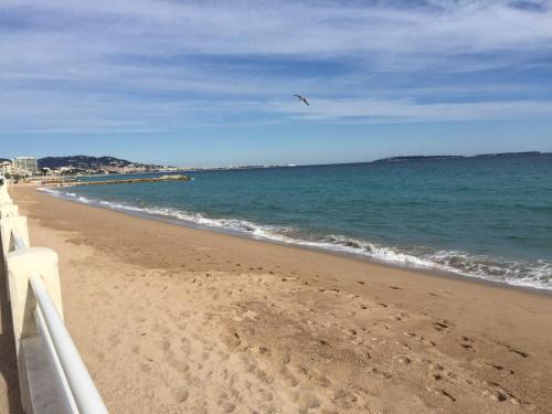 Apartamento Cannes Beach 615