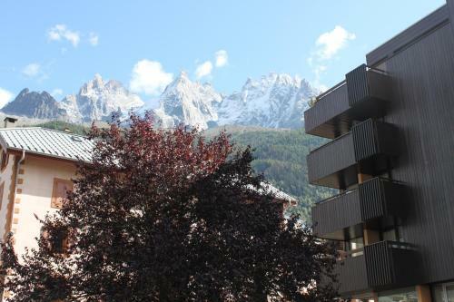 Apartment Mummery 1