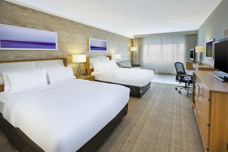 Hotel Rushmore Plaza Holiday Inn