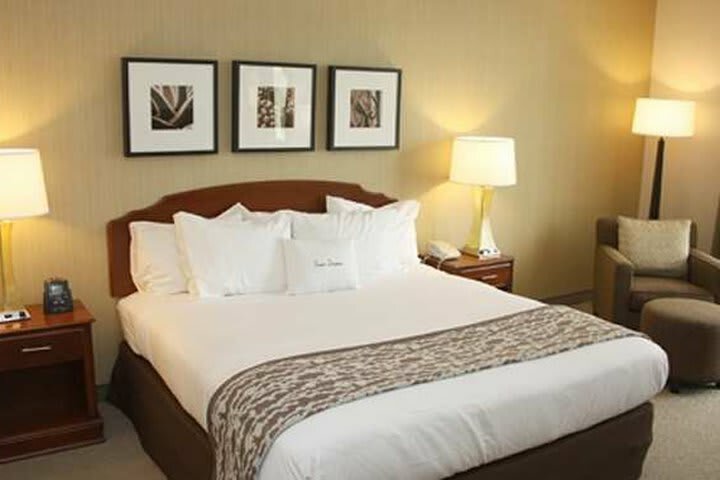 Hotel Doubletree Club Buffalo Downtown