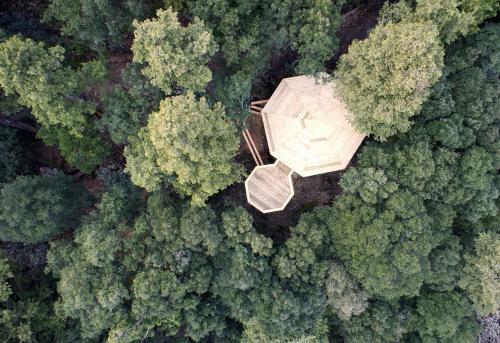 Hotel Les Cabanes Dans Les Bois