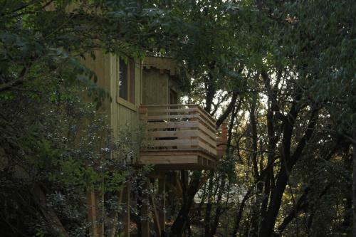 Hotel Les Cabanes Dans Les Bois