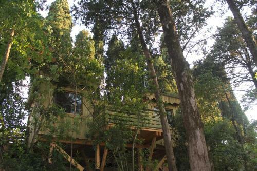 Hotel Les Cabanes Dans Les Bois