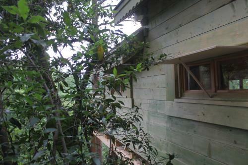 Hotel Les Cabanes Dans Les Bois
