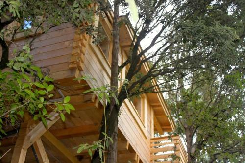 Hotel Les Cabanes Dans Les Bois
