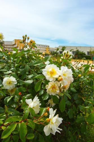 Apartamento Village Naturiste - H�liopolis