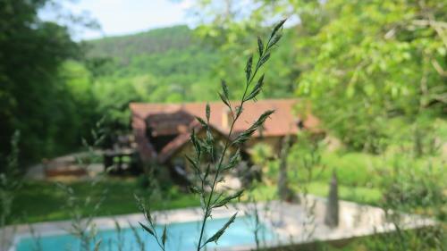 Le Coustal