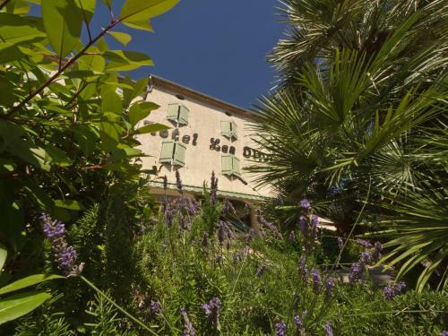 Hotel Les Oliviers