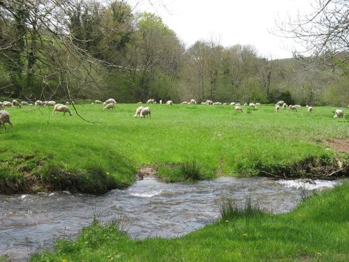 Bed & Breakfast Le Moulin Du Barthas