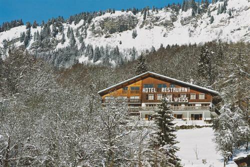 Hotel Edelweiss