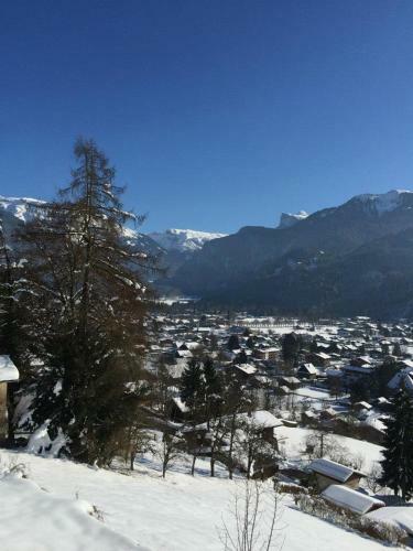Hotel Edelweiss