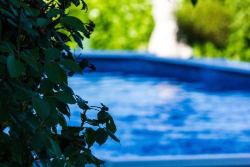 Bed & Breakfast L'armourier
