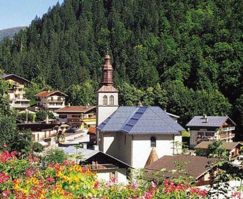 Hotel H�tel Flor'alpes