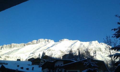 Hotel H�tel Flor'alpes