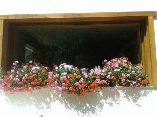 Hotel H�tel Flor'alpes