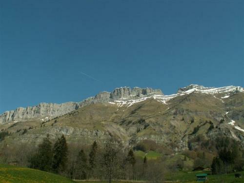 Hotel H�tel Flor'alpes