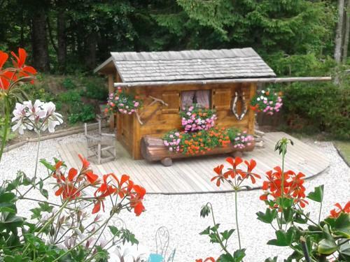 Hotel H�tel Flor'alpes