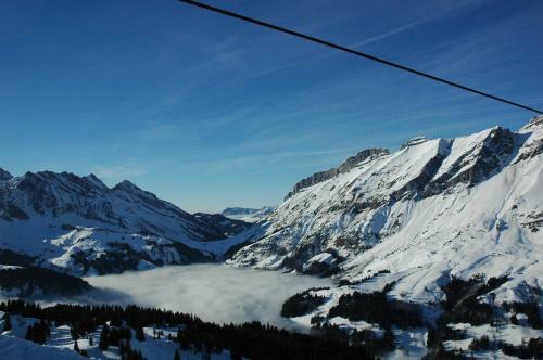 Hotel H�tel Flor'alpes