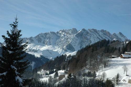 Hotel H�tel Flor'alpes