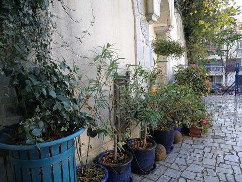 Hostal Chambre Stagiaire
