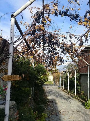 Guesthouse Giorgi
