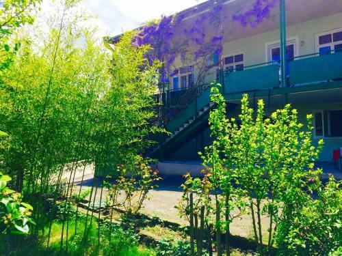 Hostal Guesthouse Natali