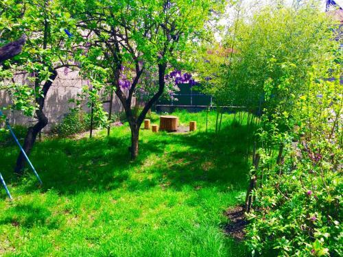 Hostal Guesthouse Natali